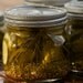 Organic Bouquet Dill Seeds - Perfect for Dill Pickles