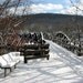 Winter Scene