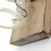 Wall sconce wood vase mason jar Metallic Taupe - single vase