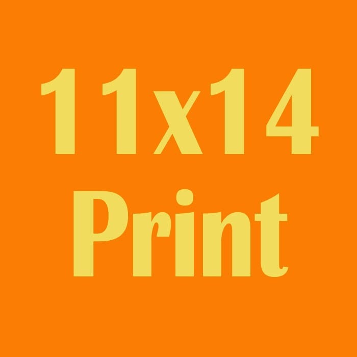 Get any print as an 11x14