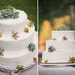 A Collection Of 12 Succulent Plants, Great For Terrarium Projects