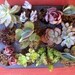 A Collection Of 12 Succulent Plants, Great For Terrarium Projects