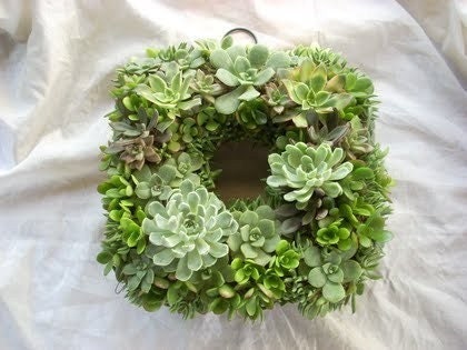 Beautiful Succulent Wreath, Centerpiece , Perfect For Weddings, Garden Parties, Centerpiece, Home Decor and More, Immediate Delivery