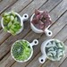 Succulent Centerpiece, White Ceramic, Table Top Decor, Great For A Wedding, Garden Party Or Special Event