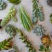Large RUSTIC Wall Art Kit, Comes Assembled With Soil And Moss, 20 Cuttings To Get Started, Housewarming Gift