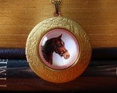 Horse locket