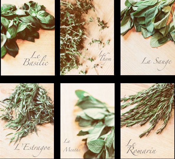 Set of 6 Spice/Herb Labels