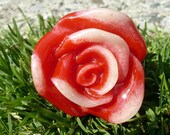 Red Rose Ring