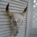 CLEARANCE SALE Metallic Silver Chrome / Faux / Deer Antlers Mount / Rustic Wall Decor. Faux Taxidermy Hook Rack.