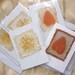 Pack of Three Naturally Dyed/ Printed Greetings Cards