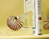 Beach Decor - Nautilus Bookends