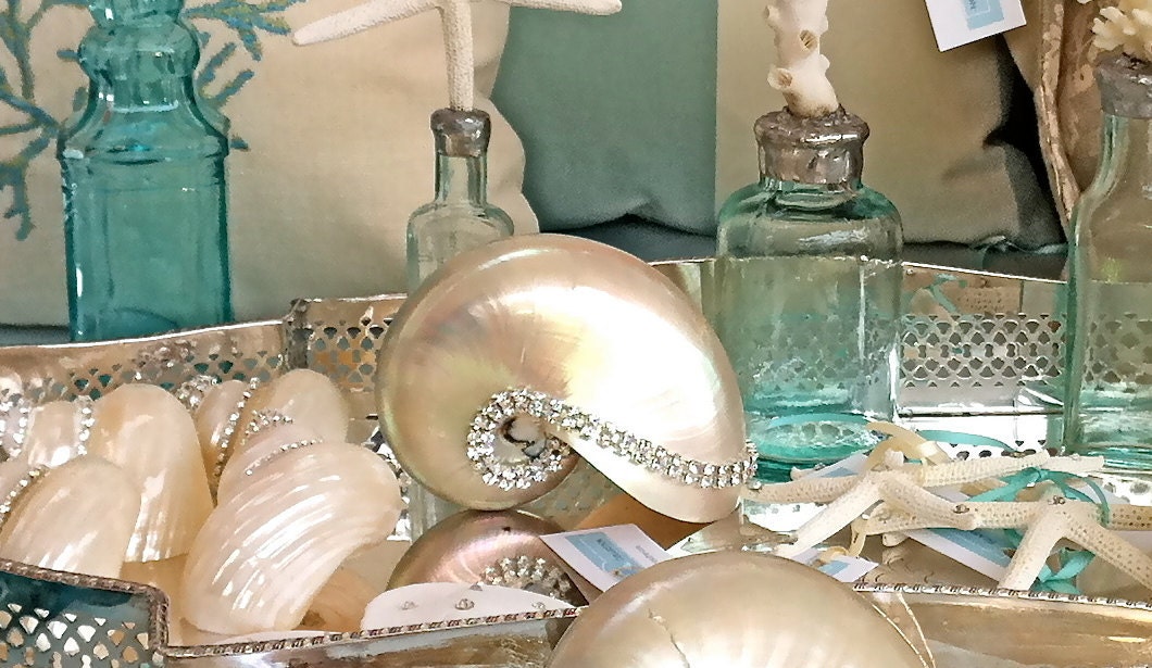 Crystal Studded Nautilus