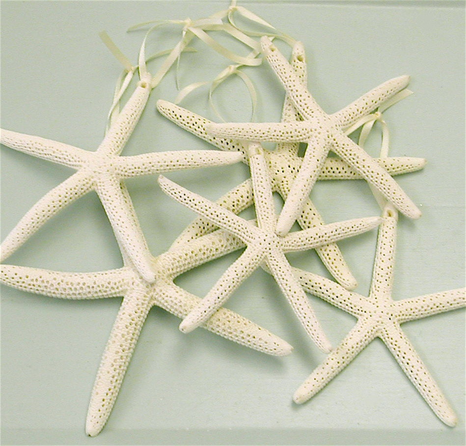 Starfish Ornaments (6) 4-5 in.
