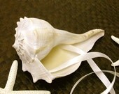 Beach Wedding Ring Bearer Whelk Shell - YOUR CHOICE of ribbon color