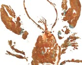 Prowler - Gyotaku Fish Rubbing - Limited Edition Print (11 x 16)