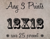 Fine Art Photography - Save on any THREE 12x12 Prints
