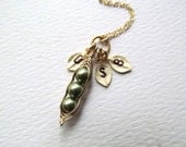 Personalized Jewelry Mothers Friends Birthday Gifts - Peas in a Pod Necklace, Initials Family Kids Children Grandma Mother's Day Gifts