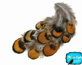 80 Pieces - GOLDEN YELLOW Reeves Venery Pheasant Plumage feathers bulk pack 0.10 oz.  : 356