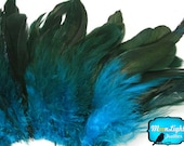 4 Inch Strip - TURQUOISE Half Bronze Schlappen Rooster Feathers : 383