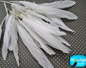 White Duck Feathers, 1 Pack - WHITE Duck Cochettes Loose Feathers 0.2 oz. : 448