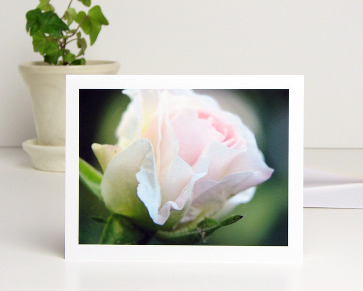 Photo Note Card Pale Pink Flower, Morden Blush Rose, dreamy pastel floral photography blank notecard stationery