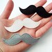 Fancy Moustache Pins
