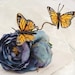 Butterfly hair clip, blue rose hair pin, hair accessory - Blue Skies