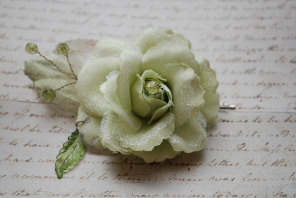 Mint Julep Rose