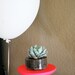 Small Hot Pink Cake Stand