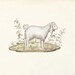 Sheep - Vintage Lamb Print Nature Wall Decor Art Illustration  8x10