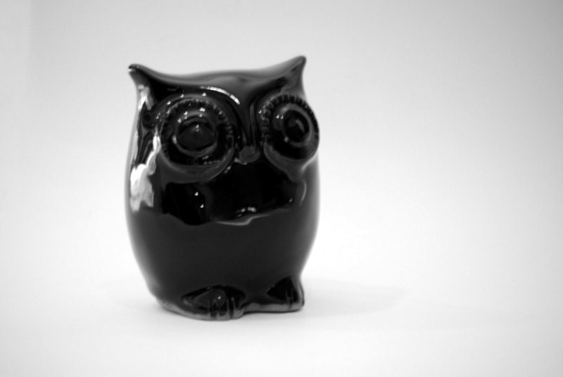 black owl , dramatic  home decor - claylicious