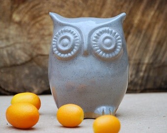 Owl home decor - blue spotted gray