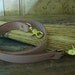 BF Garden Utility Bag