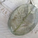 Intricate Woodsy, Earthy Transparent Green Skeleton Leaf  Dome Glass Pendant-Perfect For A Lover of Nature & The Unusual