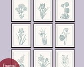Wild Flower Botanical Prints (Series G)-Set of 9 - 8x10 Prints -(Featured in Cream and Rich Silver Sage)