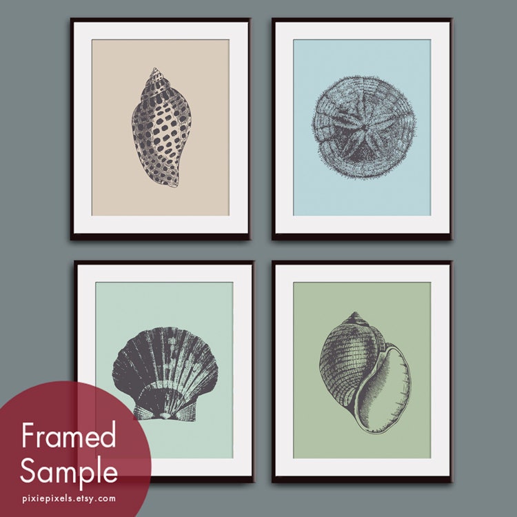 Underwater Sea Shell Collection (Series B) Set of 4 - 11x14 Art Prints (Featured in Charcoal with Assorted Backgrounds)