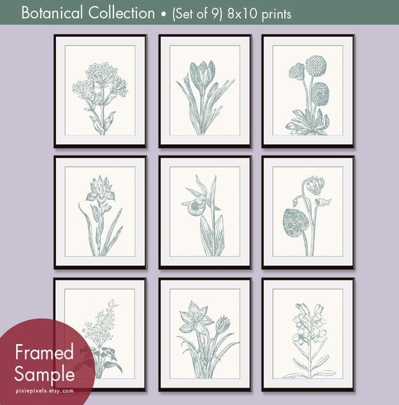Wild Flower Botanical Prints (Series G)-Set of 9 - 8x10 Prints -(Featured in Cream and Rich Silver Sage)
