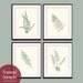 Ferns Garden Botanical Prints (Series D)-Set of 4- 11x14 Prints -(Featured in Cream and Thyme Green)