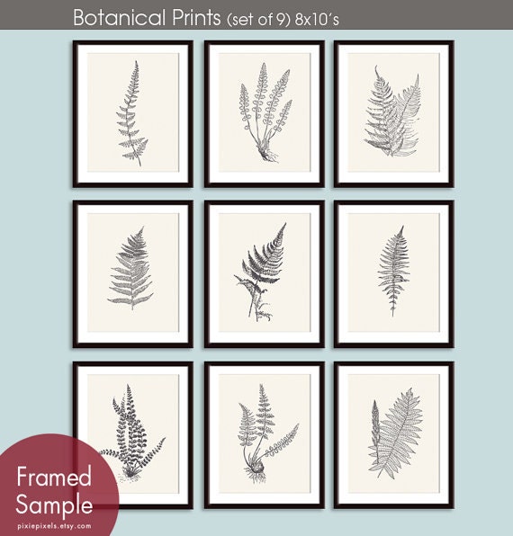 Ferns Garden Botanical Prints (Series E) Set of 9 - 8x10 Art Prints (Featured in Charcoal and Cream)