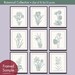Wild Flower Botanical Prints (Series G)-Set of 9 - 8x10 Prints -(Featured in Cream and Rich Silver Sage)