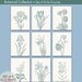 Wild Flower Botanical Prints (Series G)-Set of 9 - 8x10 Prints -(Featured in Cream and Rich Silver Sage)