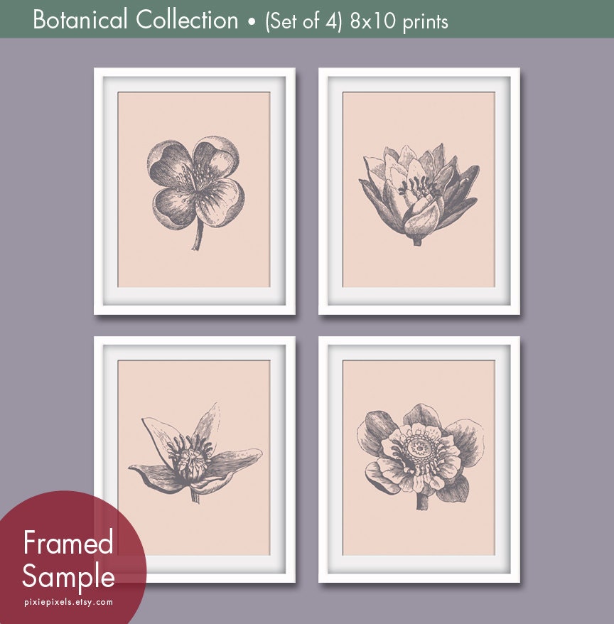 Botanical Flower Bud Prints (Series A) Set of 4-8x10 (Featured in Pale Bermuda Pink and Charcoal)