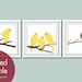 Birds on a Branch Series (Set of 3 - 12x12 Art Poster Prints) Modern French Country Style (personalized colors)