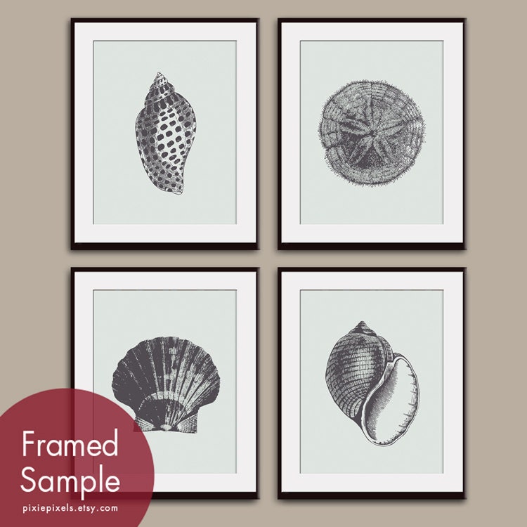 Underwater Sea Shell Collection (Series B) -Set of 4 - 8x10 Prints - Featured in Pale Fog Grey and Charcoal