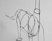 Brontosaurus (Wire Sculpture)