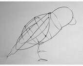 Parrot (Wire Sculpture)