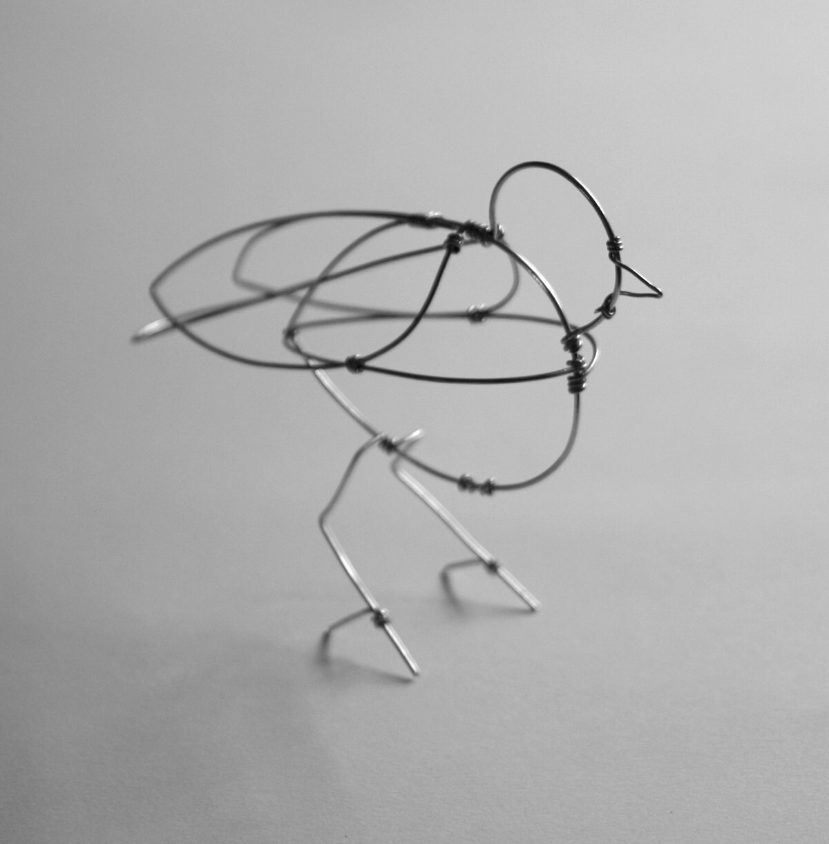 Bird Wire