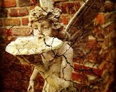 nick's angel, a 5X 7 fine art photograph
