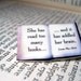 Literary quote brooch - she has read too many books and it has addled her brain