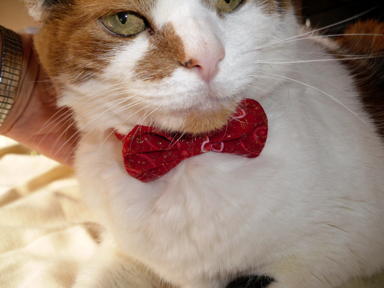 Cat Break Away BowTie Collar in Pinks and Red Hearts
